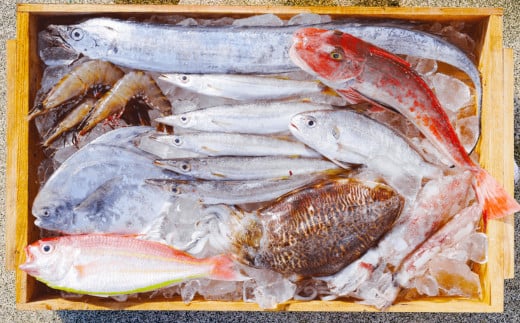 漁師の鮮魚箱（約3kg）(A889-2)
