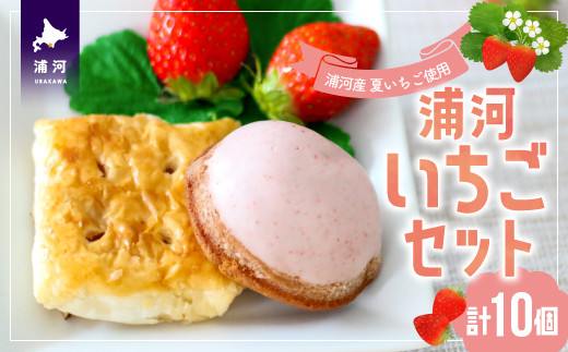 浦河産の夏いちご「すずあかね」を使用した『イチゴケーキ』と浦河銘菓『浦河小唄』のセットです。