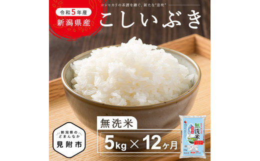 無洗米 定期便 5kg×12か月 (計 6