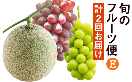 【定期便2回】旬のフルーツ便 ぶどう詰合せ アースメロン 2玉 養生市場