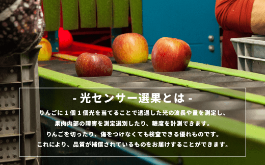 3月 20日終了※ りんご 10kg ワケあり （２４〜５０玉） シナノゴールド
