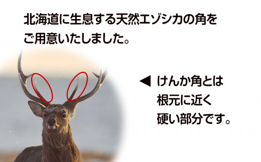 鹿の角 エゾシカ 犬のおもちゃ 『鹿角さん』 大型犬用 けんか角タイプ １本 - 北海道白老町｜ふるさとチョイス - ふるさと納税サイト