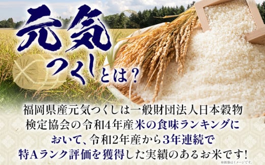 おいしく炊ける玄米ごはん元気つくし1.5kg 元気つくし 森光商店 老舗 福岡 お米 米 ごはん ご飯 お弁当 おにぎり 福岡ブランド米 めし丸 志免  志免町 福岡県｜ふるラボ