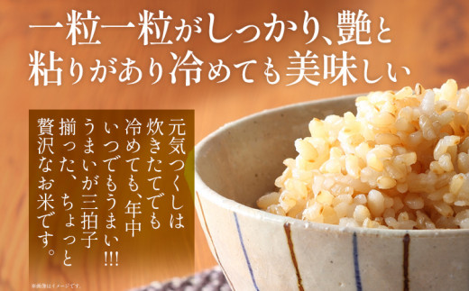 おいしく炊ける玄米ごはん元気つくし1.5kg 元気つくし 森光商店 老舗 福岡 お米 米 ごはん ご飯 お弁当 おにぎり 福岡ブランド米 めし丸 志免  志免町 福岡県｜ふるラボ