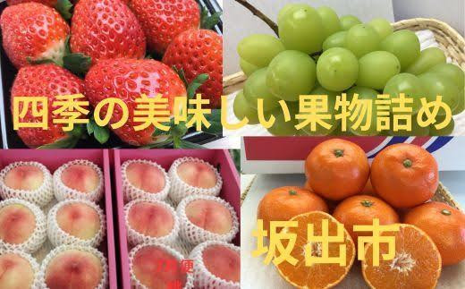＜定期便＞四季の美味しい果物詰め　年間４回に分けてお届け！ 1203334 - 香川県坂出市