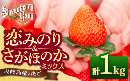 【先行予約】恋みのり・さがほのか 約250g×4パック《壱岐市》【Strawberry Gang】 [JEM001] セット イチゴ 苺 定期便 食べ比べ 果物 フルーツ スムージー 13000 13000円  287956 - 長崎県壱岐市