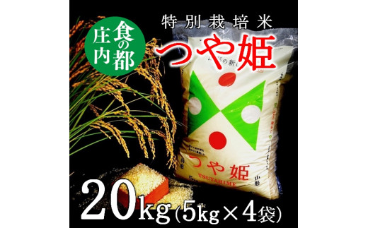 食の都庄内 [令和5年産・精米]特別栽培米つや姫20kg(5kg×4袋)