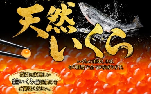 2993. いくら醤油漬け 220g×2個 いくら醤油 イクラ しょうゆ漬け いくら イクラ 醤油 海鮮 魚介 いくら丼 鮭 魚卵 贈答 ギフト  送料無料 北海道 弟子屈町 - 北海道弟子屈町｜ふるさとチョイス - ふるさと納税サイト