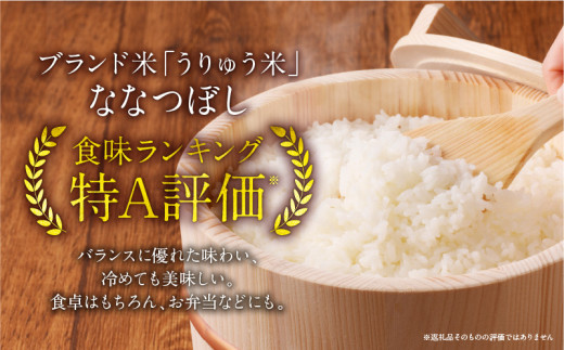 令和5年産 うりゅう米 ななつぼし 無洗米 5kg（5kg×1袋