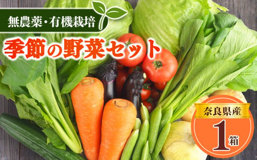 生命の農法（無化学農薬・無化学肥料栽培）季節の野菜セット 772993 - 奈良県五條市