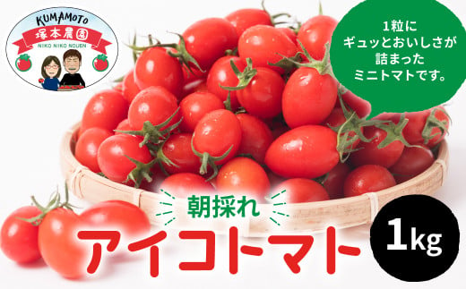 産地直送 八代産 アイコトマト 1kg ミニトマト