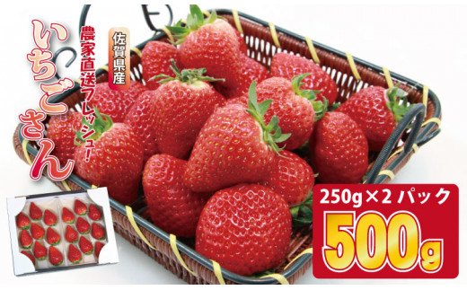 佐賀ブランド苺「いちごさん」合計500g（250g×2セット）凛々 イチゴ 