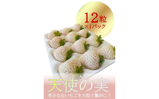 シエルファーム 大粒 白いちご 12粒 天使の実 / 高級 いちご 苺
