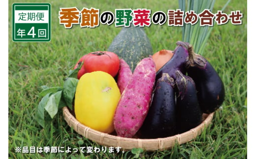 季節の野菜 詰め合わせ 6～7品以上【定期便】年4回 春夏秋冬 おまかせ セット 産地直送 新鮮