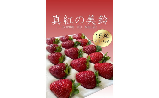 シエルファーム 大粒 黒いちご 15粒 真紅の美鈴 / 高級 いちご 苺