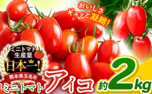 ミニトマト アイコ 約 2kg トマト 熊本 サザキ農園 野菜 ミニトマト 生産量 日本一 玉名市 !!