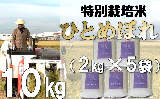 【令和5年産・精米】米蔵いいの特別栽培米ひとめぼれ10kg（2kg×5袋）|飯野　憲