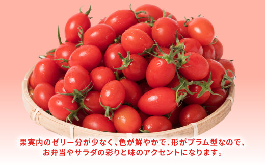 八代産 アイコトマト 1kg ミニトマト