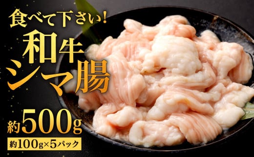 食べて下さい！ 和牛のシマ腸 約500g (約100g×5パック) 1204171 - 福岡県北九州市