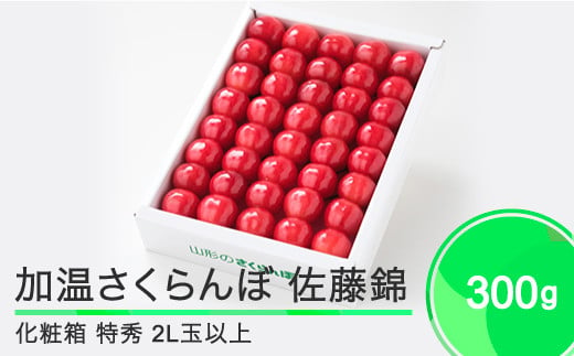 加温 さくらんぼ 佐藤錦 特秀品 2L玉 化粧箱 300g 2024年産 フルーツ 果物 山形県 ja-snk2x300 1204498 - 山形県大石田町