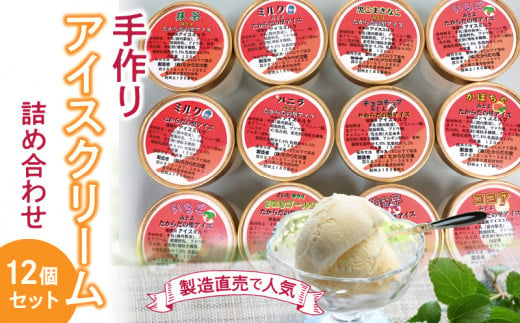 M38-0002_製造直売で人気の手作りアイスクリーム12個セット 1207029 - 香川県三豊市