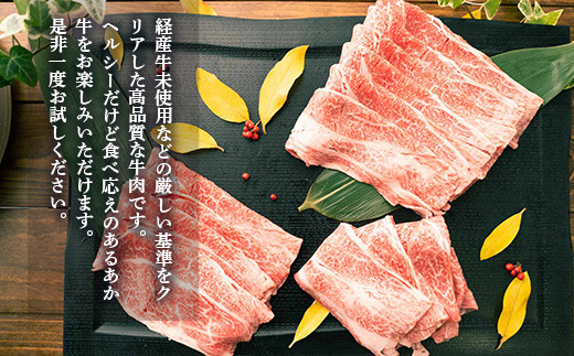 熊本県産 GI認証取得 くまもとあか牛 すき焼き用 切り落とし600g(300g×2) 