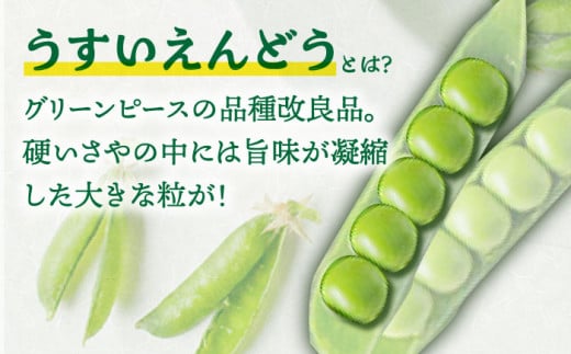 【2024年3月下旬～5月中旬発送分】うすいえんどう 約2kg ≪小値賀町≫【ながさき西海農協小値賀地区園芸部会】 [DAT006] えんどう  エンドウ 実えんどう 野菜 常温 8000 8000円 8千円