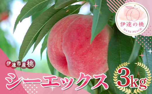 福島の桃 シーエックス ３kg（7～12玉） 伊達市産桃 先行予約 フルーツ 果物 もも モモ momo F20C-841