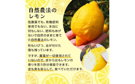 【先行予約】自然農レモン2kgと自然農柑橘商品（レモンチョコ40g）の詰め合わせセット（2024年4月～お届け） 1205391 - 広島県尾道市