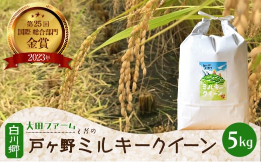 【先行予約】白川郷 戸ヶ野のミルキークイーン 5kg 令和6年産 [S585] 1127263 - 岐阜県白川村