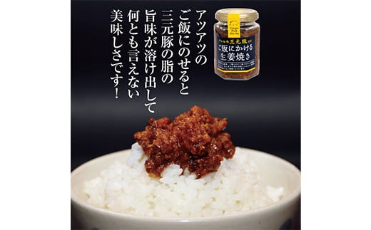 令和5年産庄内米「はえぬき5kg」とご飯のお供「平田牧場三元豚 ご飯にかける生姜焼き2個」セット F2Y-3775