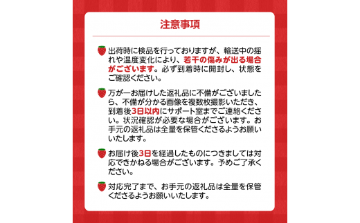 福岡県久留米市のふるさと納税 あまおういちご 2パック入×2箱（計4パック）