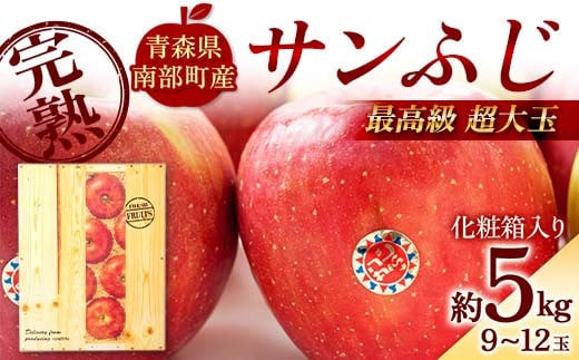高級りんご【はるか】8～12玉（約3kg）☆蜜センサー選別品☆【2024年産 