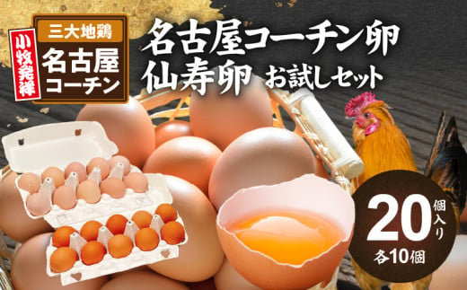 名古屋コーチン卵・仙寿卵お試しセット(各10個入り)