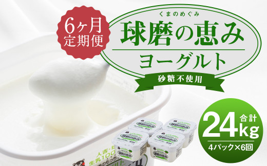 【定期6回】球磨の恵みヨーグルト 砂糖不使用 1kg×4パック 801815 - 熊本県人吉市