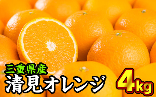 温州みかんの味 × オレンジの香りを持った品種です！