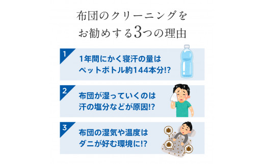 最大1年間保管付！】羽毛布団丸洗い宅配クリーニング(2点) - 岐阜県