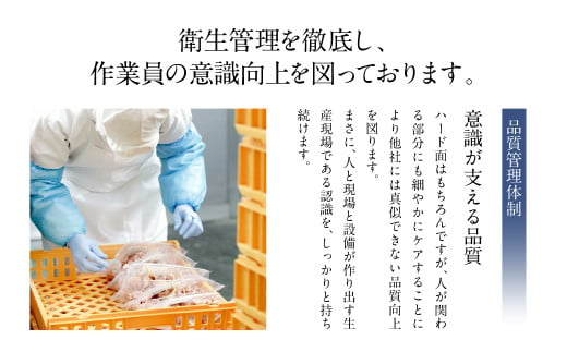 九州産 焼き鳥 セット 60本 焼き鳥 鶏肉 バーベキュー