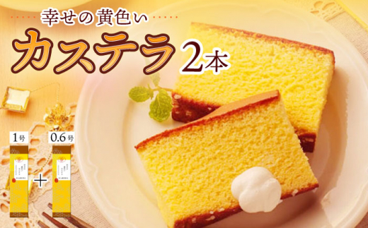 2層仕立て》しっとりしたダブルチーズケーキ ベイクドチースケーキと