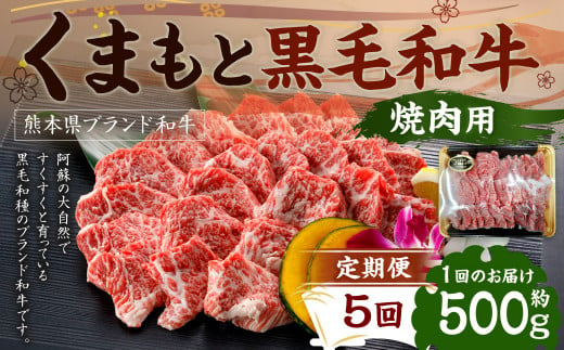 【定期便5回】 くまもと黒毛和牛 焼肉用 500g×1P 1194515 - 熊本県水俣市
