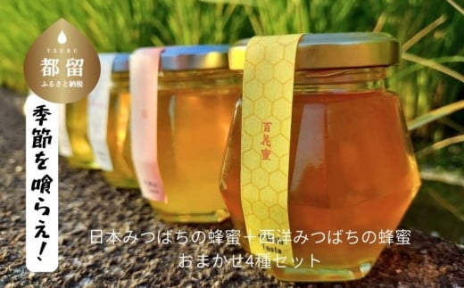 日本みつばちの蜂蜜＋西洋みつばちの蜂蜜おまかせ4種セット 100ｇ×４｜日本みつばち はちみつ ハチミツ 和蜂 