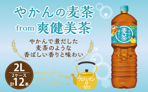 やかんの麦茶 from 爽健美茶 PET (2L×6本)×2ケース 535107 - 宮崎県えびの市