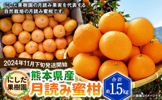 にしだ果樹園の熊本県産月読み蜜柑 約1.5kg