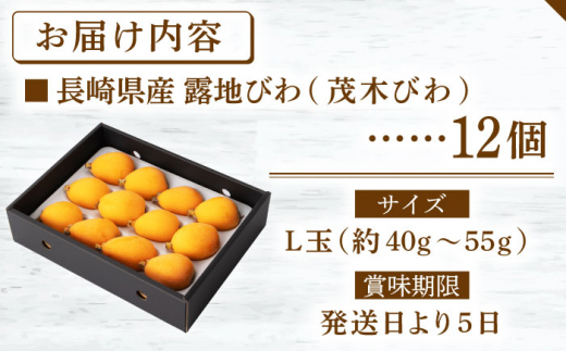 5月中旬～6月中旬発送】長崎特産 露地びわ「茂木びわ」L玉 12個入り