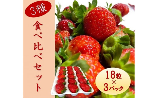 シエルファーム 大粒いちご 18粒 3品種 食べ比べ 4パック / 大粒 高級 いちご 苺