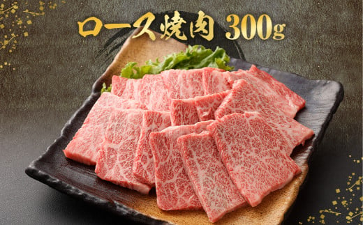 北さつま髙崎牛 焼肉食べ比べセット(2種盛り合計600g)