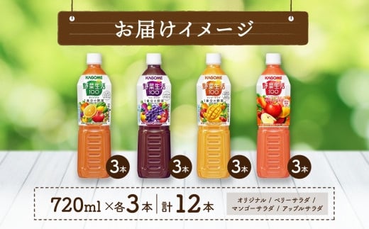 カゴメ 野菜生活100 飲み比べセット スマートPET 720ml 4種 各3本 計12