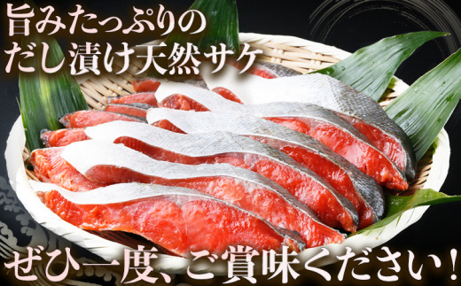 和歌山魚鶴仕込の天然紅サケ切身 約1kg 株式会社魚鶴商店《30日以内に