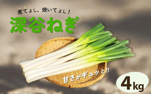 煮てよし、焼いてよし！甘さがギュッと！深谷ねぎ　4kg　【11218-0240】 253403 - 埼玉県深谷市