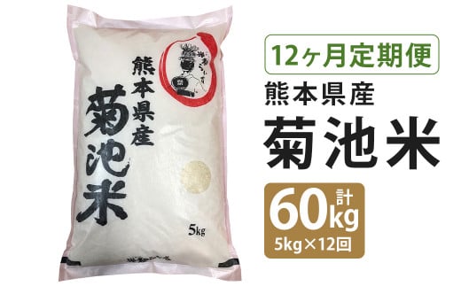 【定期便12回】菊池米 合計60kg(毎月5kg×1袋) 令和5年産 1186791 - 熊本県菊池市